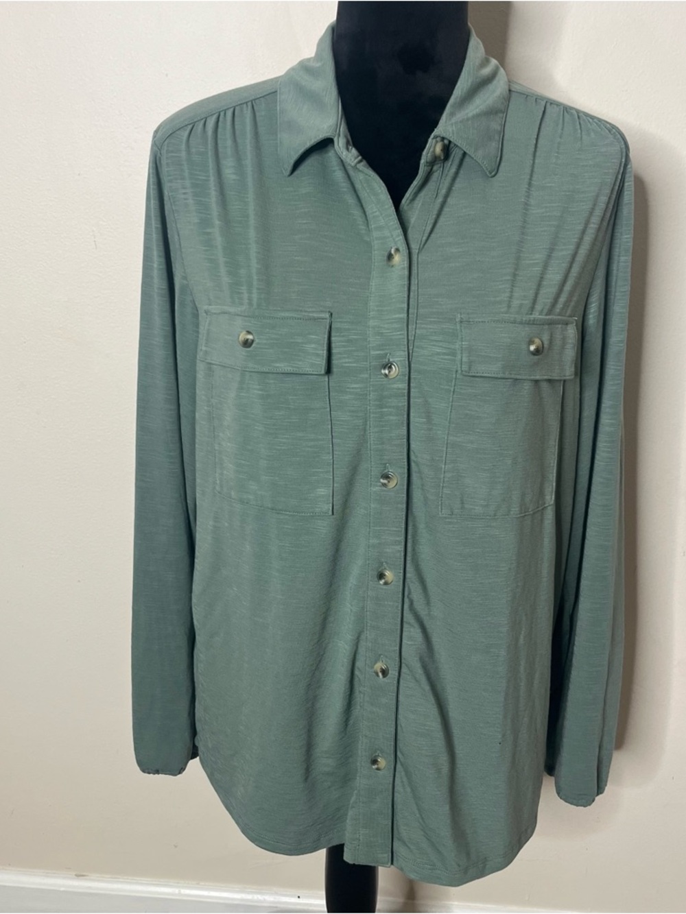 L.L Bean Women’s Camden Sage Green Button-Front Collar Shirt Sz M~NWT - Picture 2 of 12